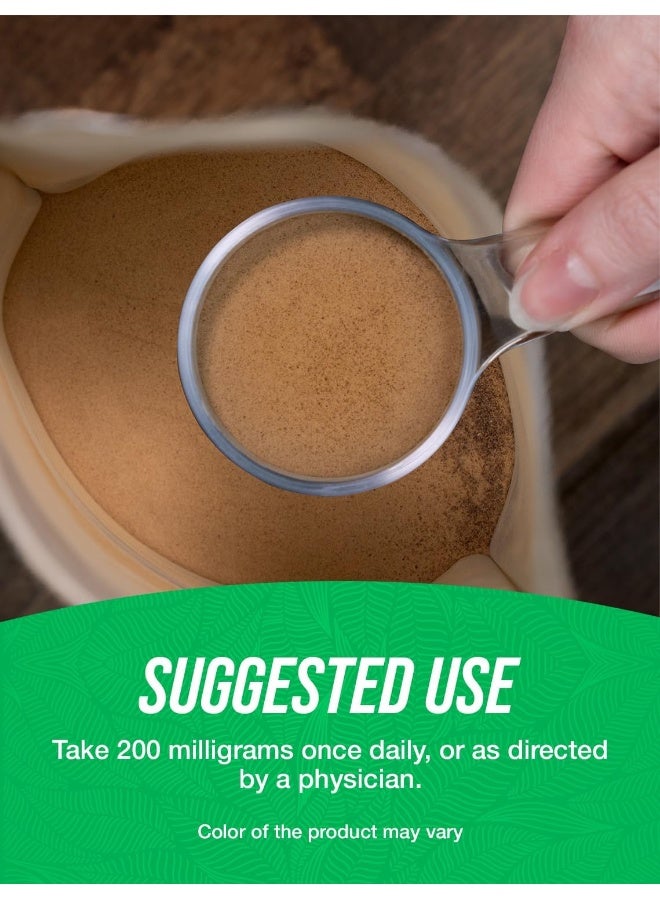 BULKSUPPLEMENTS.COM Ginkgo Biloba Extract Powder - Image 4